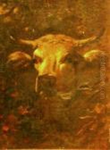 Head Of A Cow Oil Painting by James McDougal Hart