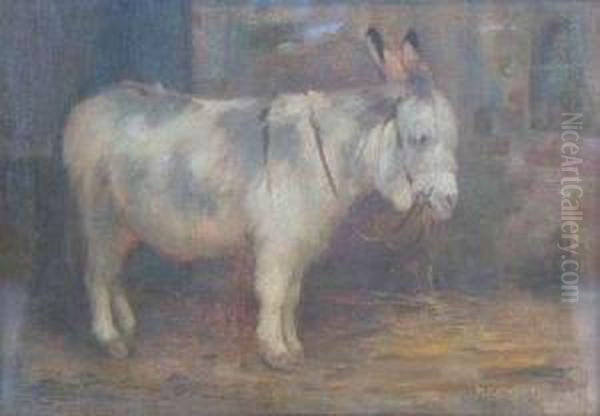 Donkey Oil Painting by William Stewart MacGeorge