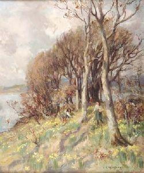 Host Of Golden Daffodils Oil Painting by William Stewart MacGeorge