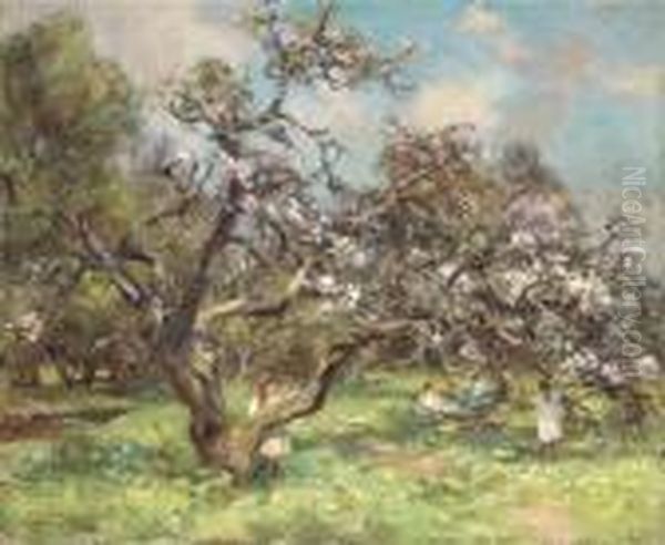 Cherry Blossom Oil Painting by William Stewart MacGeorge