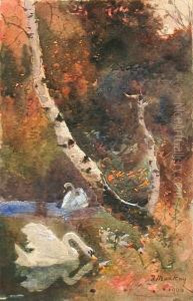 Two Swans By The Bank Of A Pool Oil Painting by Thomas Mackay