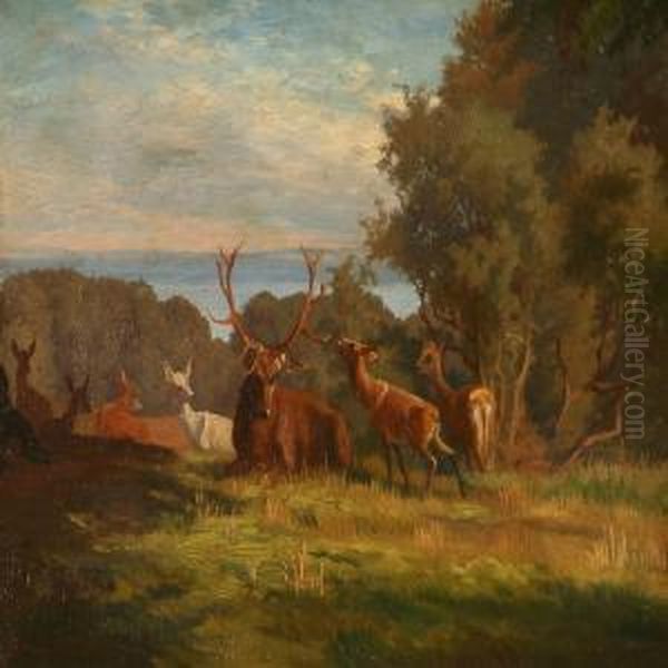 Summer Day With Stags In A Forest Oil Painting by Adolf Henrik Mackeprang