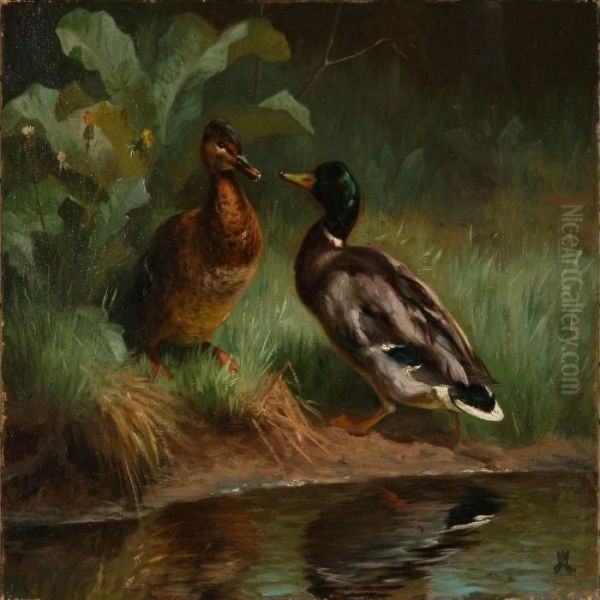 Two Ducks By A Shoreline Oil Painting by Adolf Henrik Mackeprang