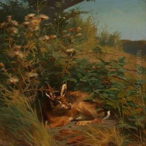 A Hare Hiding In Abush Oil Painting by Adolf Henrik Mackeprang