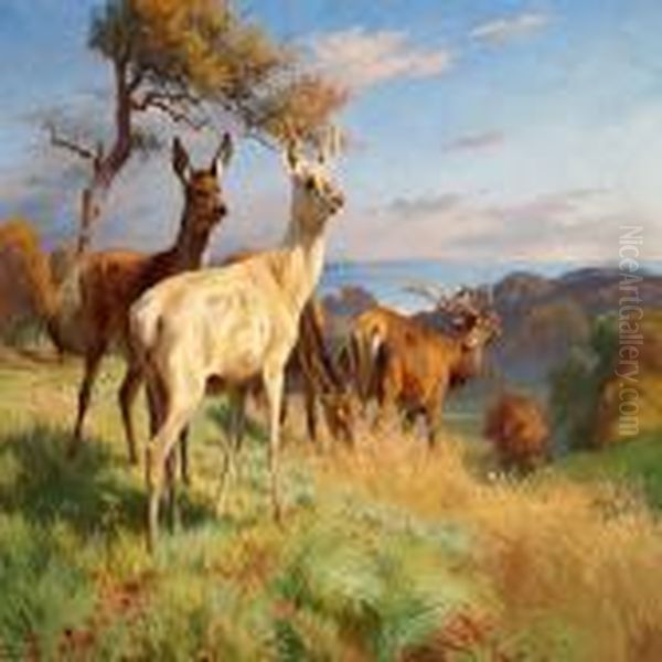 Deer In Dyrehaven North Of Copenhagen Oil Painting by Adolf Henrik Mackeprang