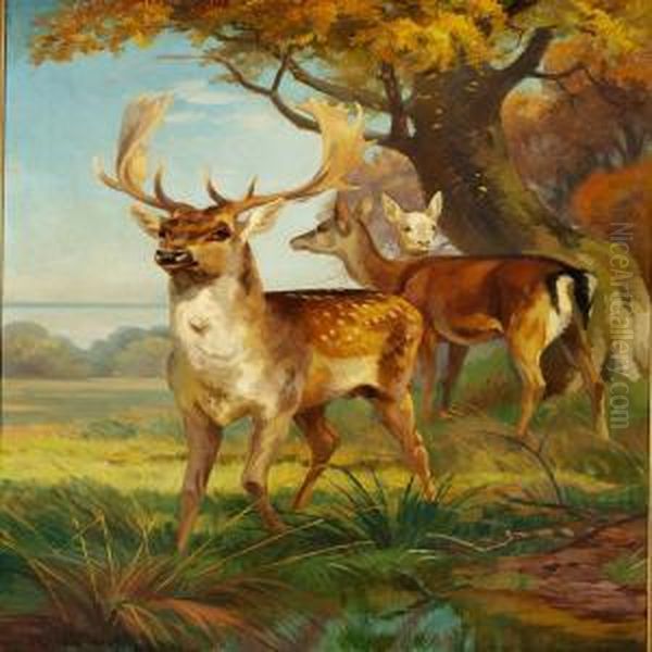 Fallow Bucks In The Woods Oil Painting by Adolf Henrik Mackeprang