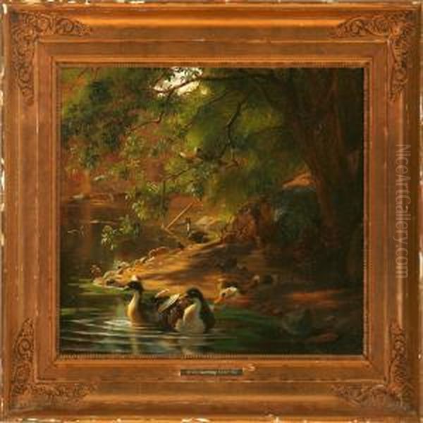 Ducks At A Shore Oil Painting by Adolf Henrik Mackeprang