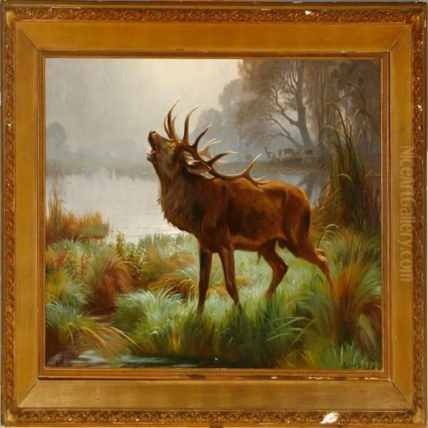 Roaring Stag Standing By A Lake Oil Painting by Adolf Henrik Mackeprang