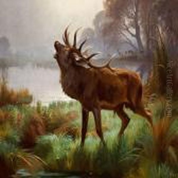 A Roaring Stag Standing By A Lake Oil Painting by Adolf Henrik Mackeprang