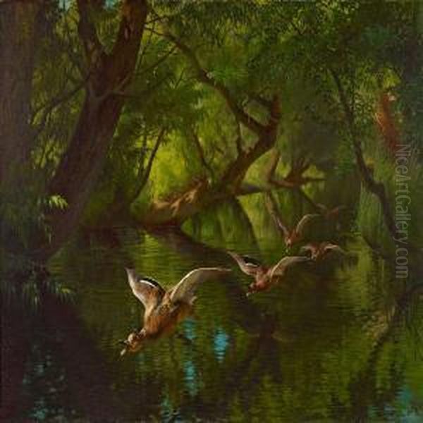 Flying Ducks At Ariver Oil Painting by Adolf Henrik Mackeprang