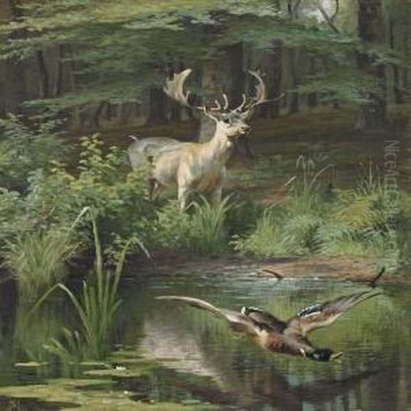 Forest Lake With Deer And Duck Taking Off Oil Painting by Adolf Henrik Mackeprang