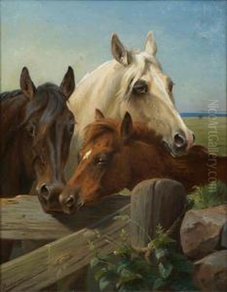 Horses In A Corral Oil Painting by Adolf Henrik Mackeprang