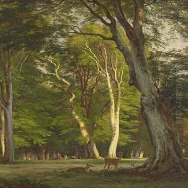 Deer In Thedyrehaven Oil Painting by Adolf Henrik Mackeprang