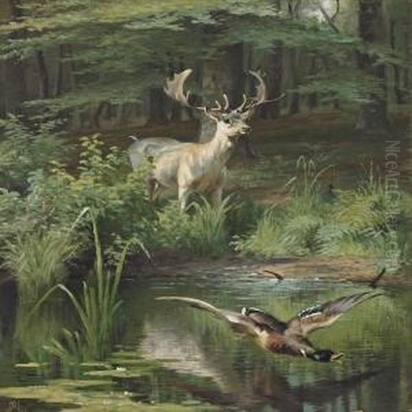 Forest Lake With Deerand Duck Taking Off Oil Painting by Adolf Henrik Mackeprang