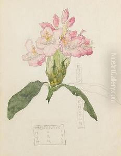 Rhododendron Oil Painting by Charles Rennie Mackintosh