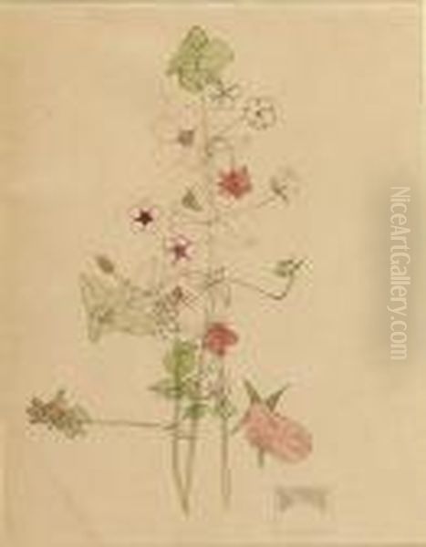 Pimpernel, Holy Island Oil Painting by Charles Rennie Mackintosh