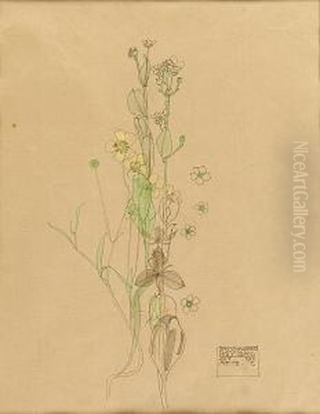 Brookweed, Holy Island Oil Painting by Charles Rennie Mackintosh