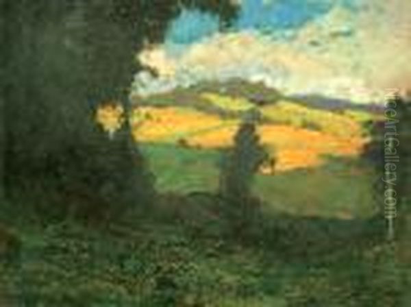 Letni Krajina Oil Painting by Gustav Macoun