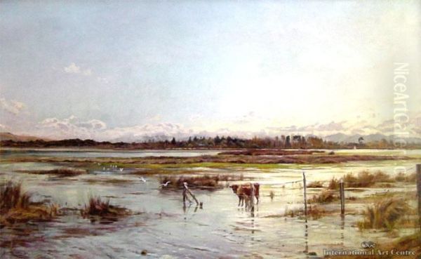 Mount Pleasant Estuary Oil Painting by John Mcintosh Madden