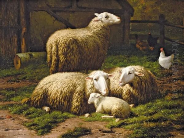 Sheep Resting Near A Stable Oil Painting by Eugene Remy Maes