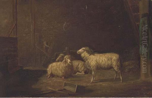 Sheep In A Stable Oil Painting by Eugene Remy Maes