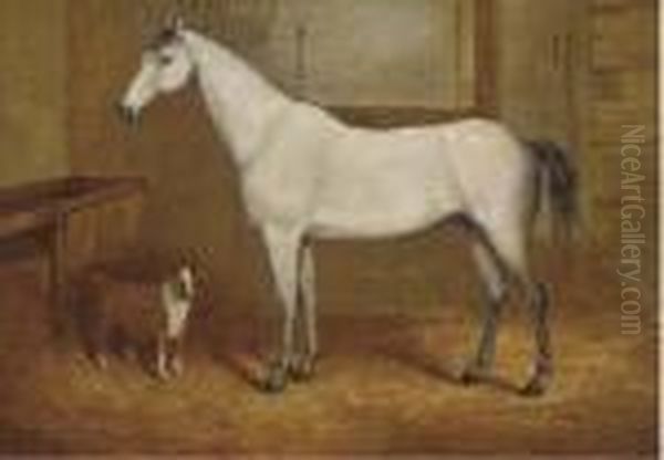 A Grey With A Terrier In A Stable Oil Painting by John Charles Maggs