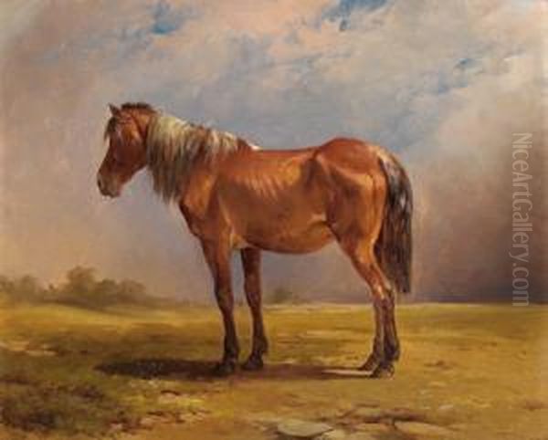 Ein Pferdeportrat Oil Painting by Edmund Mahlknecht