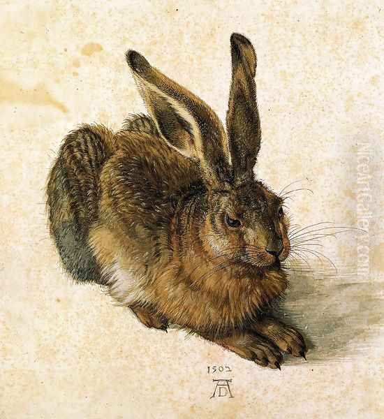 Young Hare I Oil Painting by Albrecht Durer