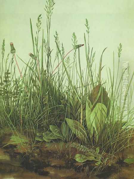 Great Piece of Turf Oil Painting by Albrecht Durer