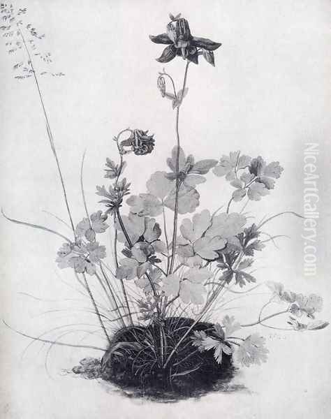 The Piece Of Turf With The Columbine Oil Painting by Albrecht Durer