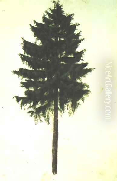 Pine Tree Oil Painting by Albrecht Durer