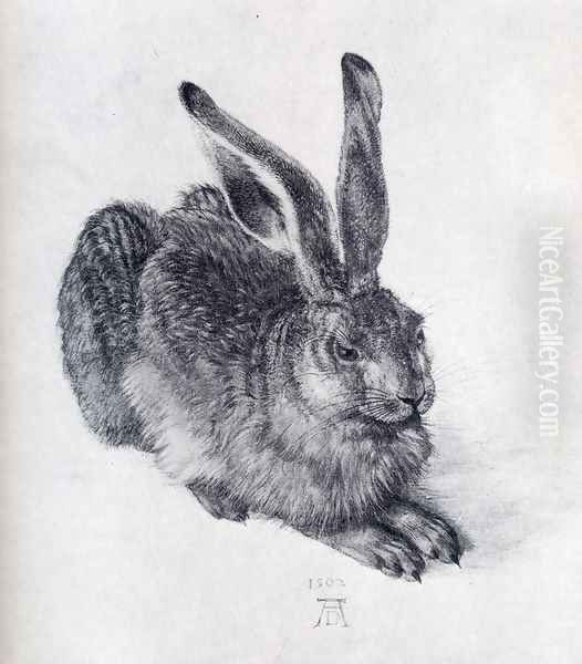 Young Hare Oil Painting by Albrecht Durer