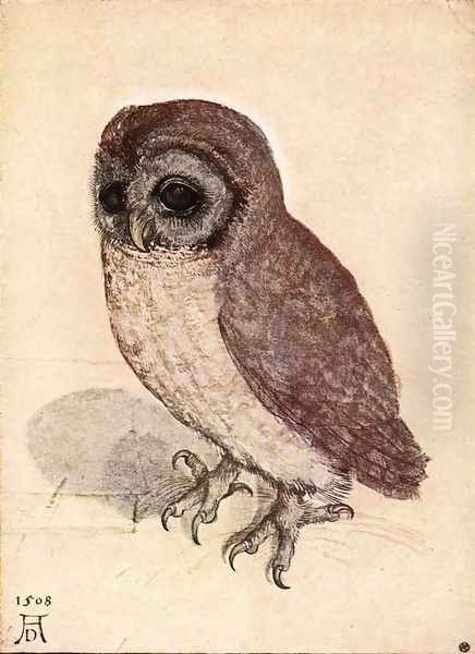 The Little Owl Oil Painting by Albrecht Durer