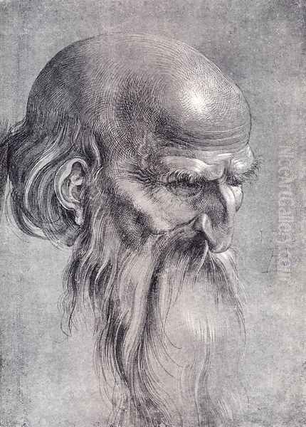 Head Of An Apostle Looking Downward Oil Painting by Albrecht Durer