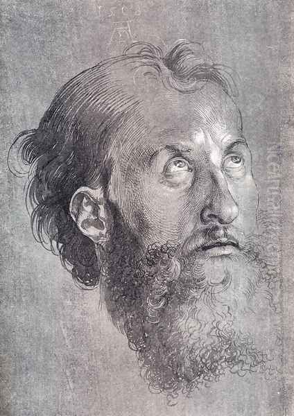 Head Of An Apostle Looking Upward Oil Painting by Albrecht Durer