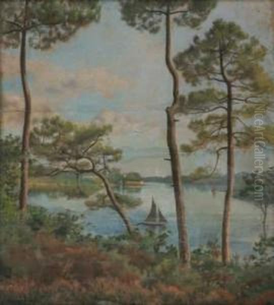 Paysage Aux Pins Oil Painting by Marcel Mangin