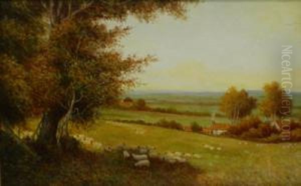 Sheep In The Meadow Oil Painting by William Manners