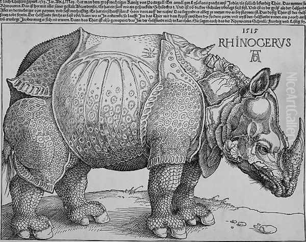 Rhinoceros Oil Painting by Albrecht Durer