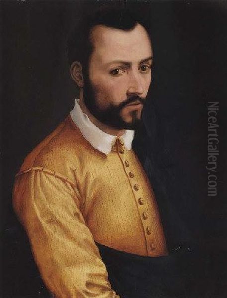 Francesco I De Medici Oil Painting by da San Friano Maso