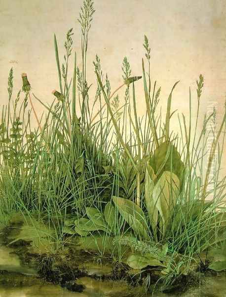 The Large Turf Oil Painting by Albrecht Durer