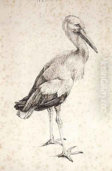 The Stork Oil Painting by Albrecht Durer