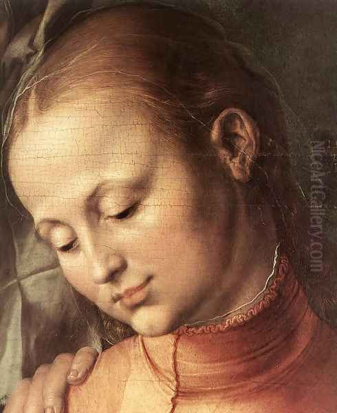 Madonna with the Siskin (detail 3) (2) Oil Painting by Albrecht Durer