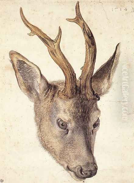 Head of a Stag Oil Painting by Albrecht Durer