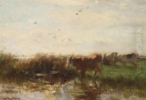 Cows Grazing On The Waterfront Oil Painting by Willem Maris