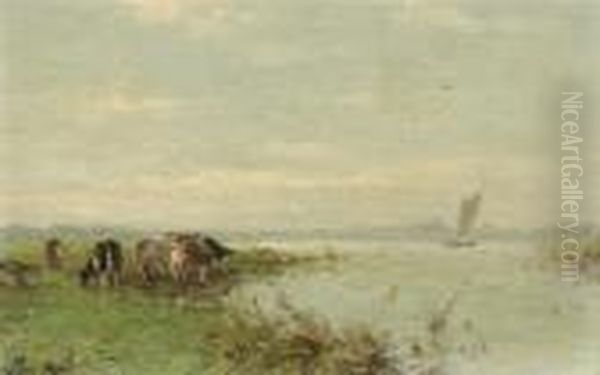 Grazing Cows At A River Oil Painting by Willem Maris