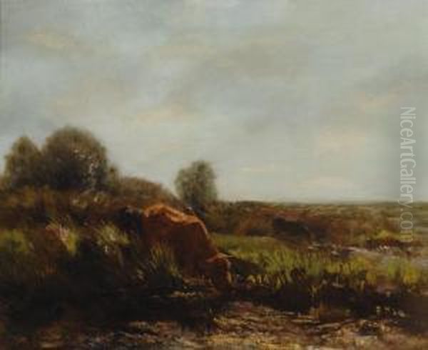 Cows In The Summer Sun Oil Painting by Willem Maris