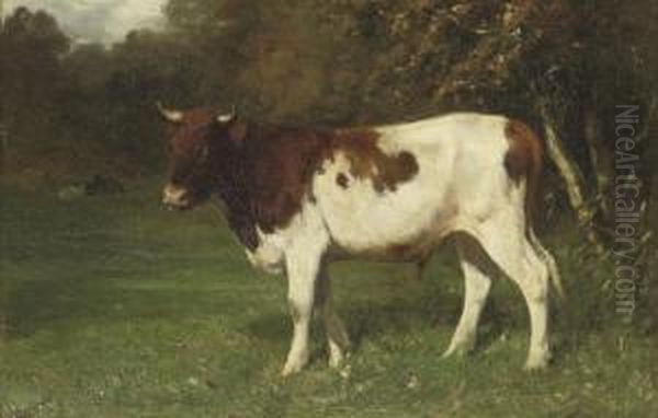 Jonge Stier: The Bull Oil Painting by Willem Maris