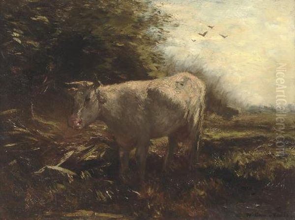 White Cow Oil Painting by Willem Maris