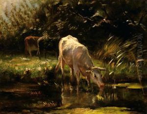 A Calf Drinking From A Pond Oil Painting by Willem Maris