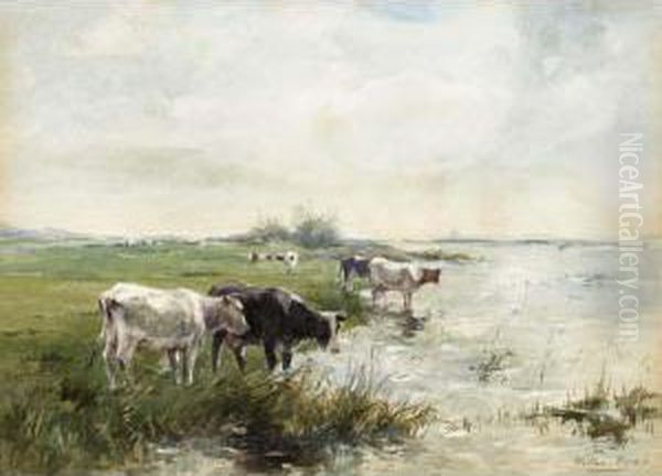 Watering Cows In A Polder Landscape Oil Painting by Willem Maris